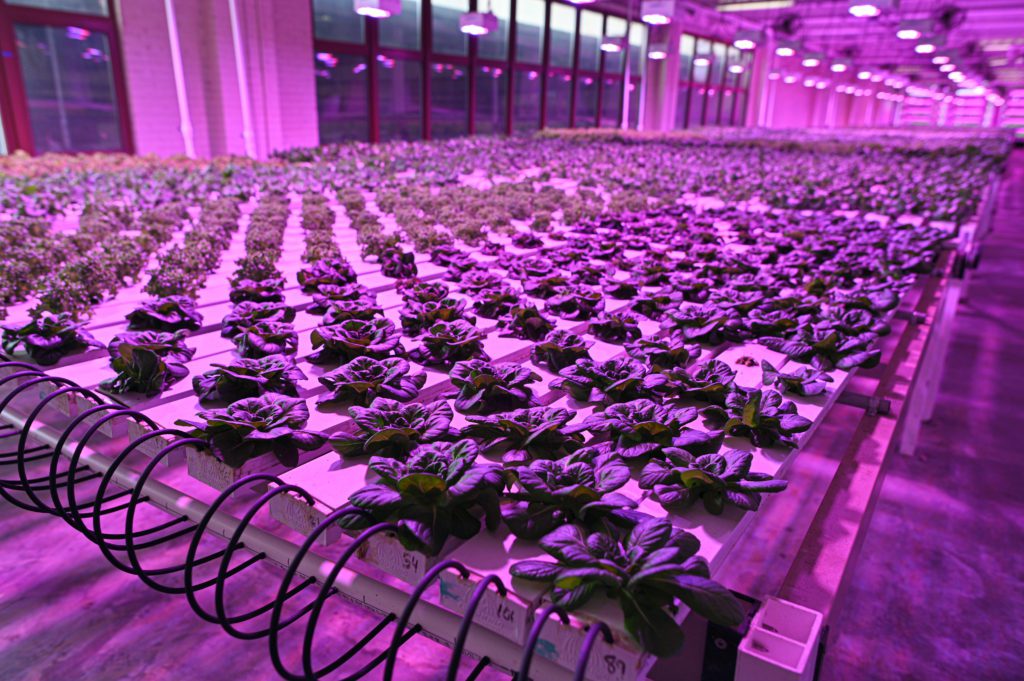Bounce Innovation Hub-Vigeo Gardens
